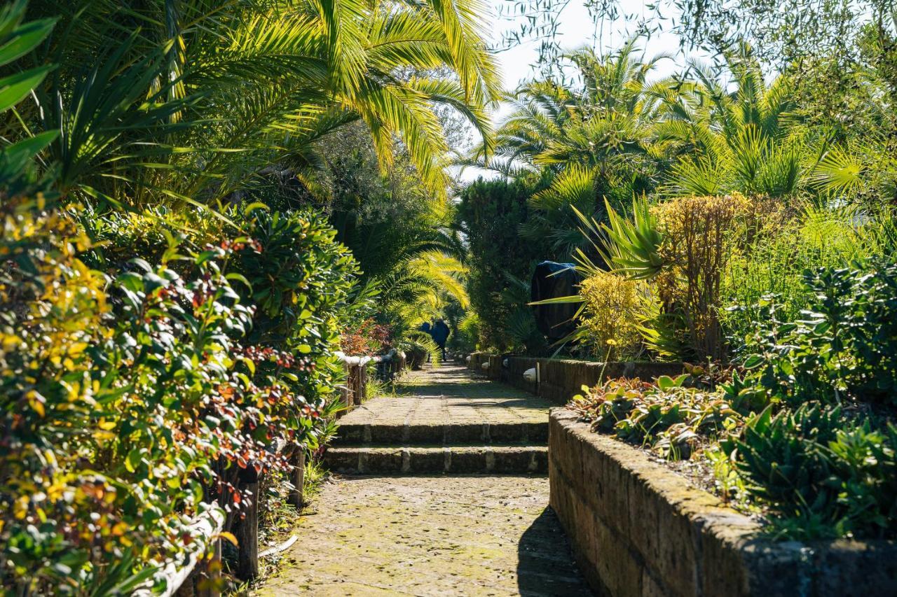 Residence Solemaremma カスティリオーネ・デッラ・ペスカーイア エクステリア 写真