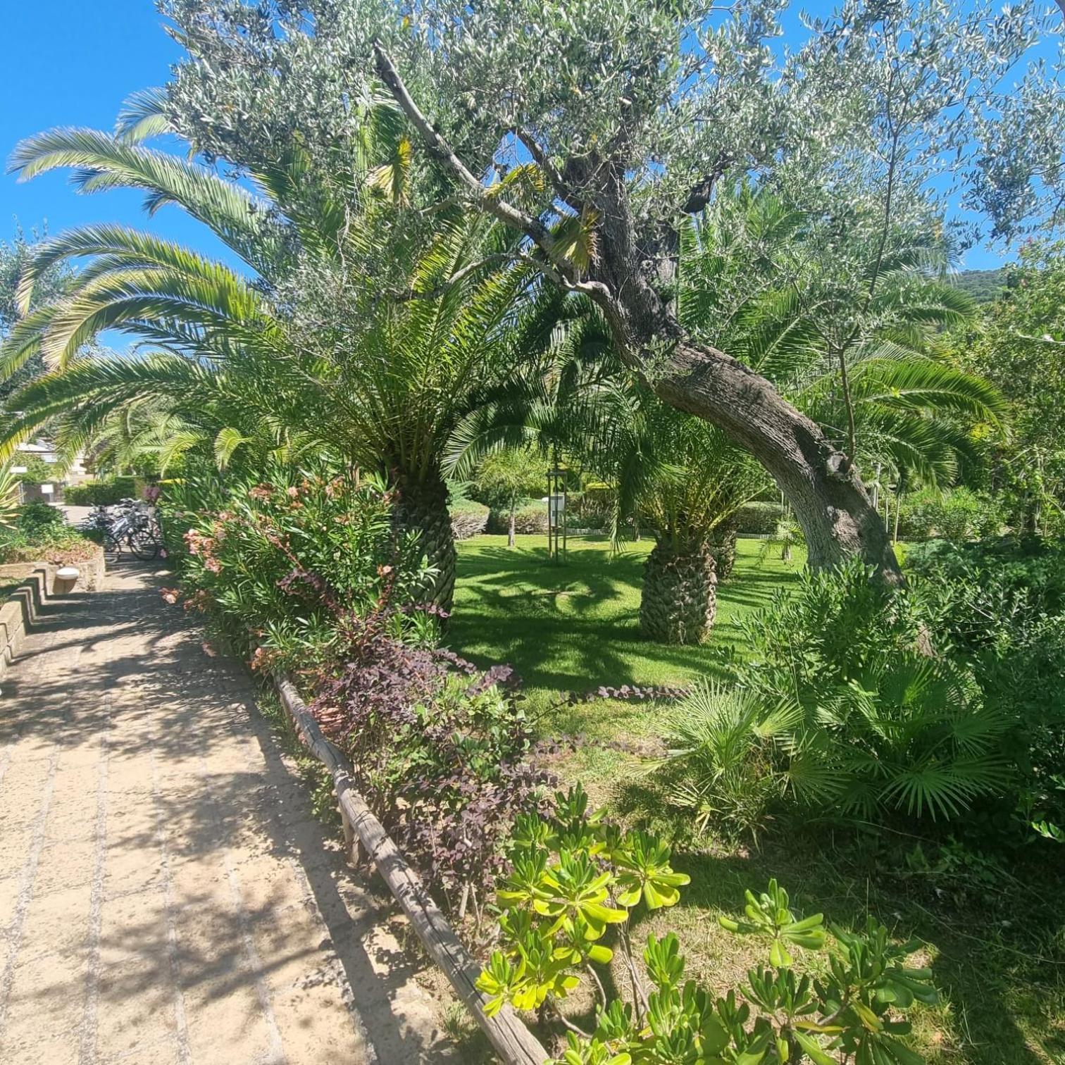 Residence Solemaremma カスティリオーネ・デッラ・ペスカーイア エクステリア 写真