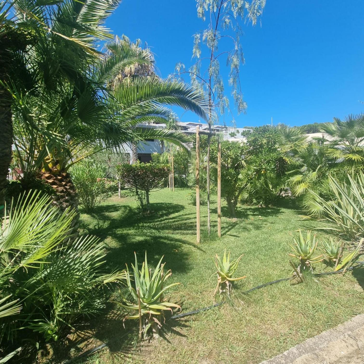 Residence Solemaremma カスティリオーネ・デッラ・ペスカーイア エクステリア 写真